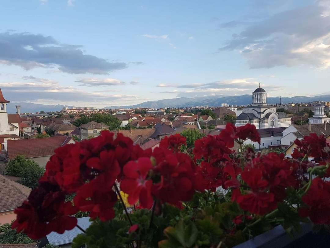 Apartament Sibiu Bach Penthouse Zewnętrze zdjęcie